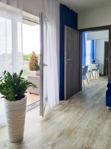 a living room with a plant in a large vase at Pod Brzozami Apartamenty 5 Mórz in Ustronie Morskie
