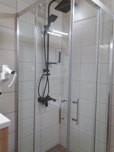 a shower with a glass door in a bathroom at Peace of mind in Visoko