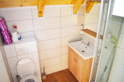 a small bathroom with a toilet and a sink at Peace of mind in Visoko