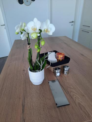 a potted plant sitting on a wooden table with a tablet at Ferienwohnungen Winzergasse in Purbach am Neusiedlersee