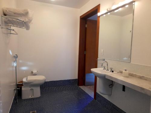a bathroom with a toilet and a sink and a mirror at Pousada Asa do Vento in São Luiz do Paraitinga