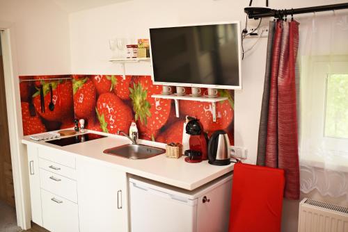 a kitchen with a sink and a tv on the wall at Penzion Rozárka in Přísečná