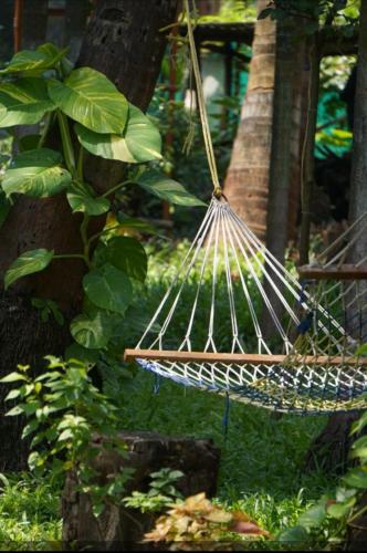 a hammock hanging from a tree in a forest at Sai Ram Cottage in Alibaug