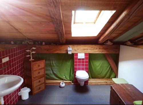 een badkamer met een toilet en een wastafel bij Eichenhof B in Rieden