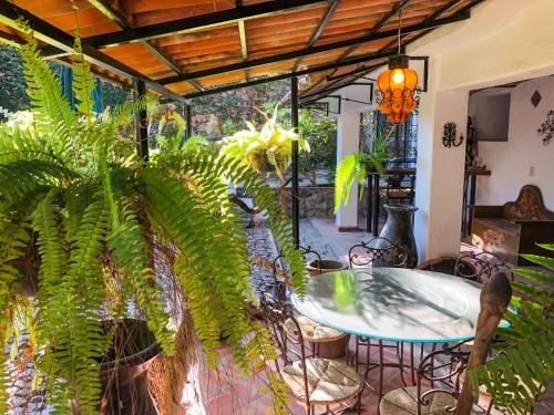 Casa Aurora Garden Retreatにある庭