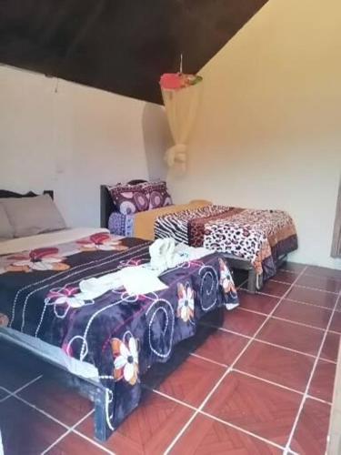 Φωτογραφία από το άλμπουμ του Cabañas Miravalle Tziscao σε La Trinitaria