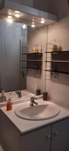 une salle de bain avec un lavabo et un miroir dans l'établissement Appartement climatisé T1 bis métro à 200 m, à Toulouse