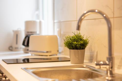 - un évier de cuisine avec une plante en pot dans l'établissement LOC TROTTEUR LE FLEUR DES CHAMPS F2 cosy, gare SNCF de Lourdes, à Lourdes