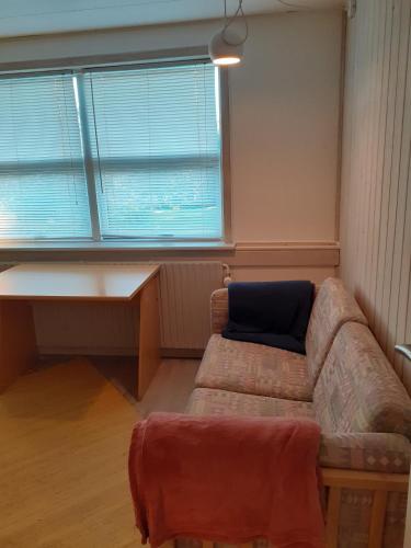 a living room with a couch in front of a window at Olsens Hygge in Vester Hjermitslev
