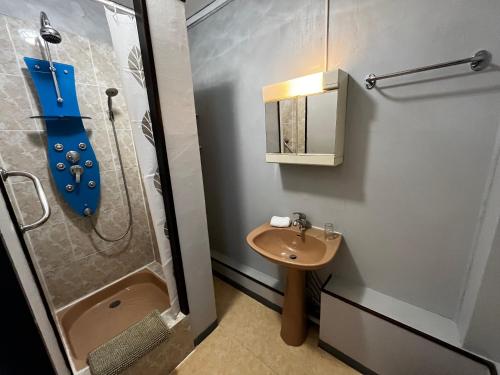 Vonios kambarys apgyvendinimo įstaigoje AUBERGE DE LA VOUTE
