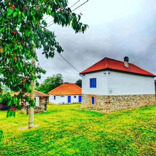 Gallery image of Domacinstvo Pajovic in Gornji Milanovac