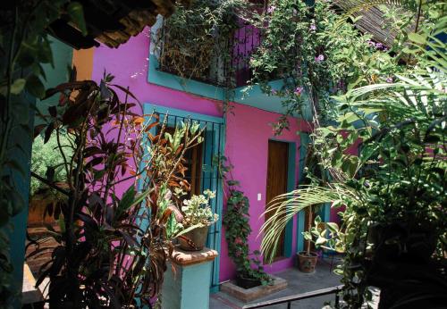 a colorful house with plants in front of it at Hotel Las Golondrinas in Oaxaca City