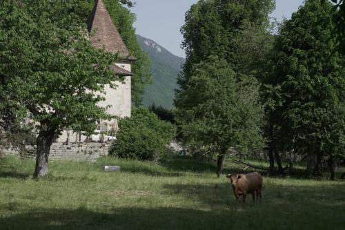 a cow standing in a field in front of a building at Domaine du Très-Haut - Château de Montanges in Montanges