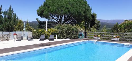 a swimming pool with chairs and a tree at Casa de Santa Luzia A in Vila Praia de Âncora
