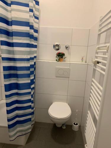 ein Bad mit einem WC und einem blauen und weißen Duschvorhang in der Unterkunft Alles was man braucht, 1-Zimmer Wohnung in Dortmund