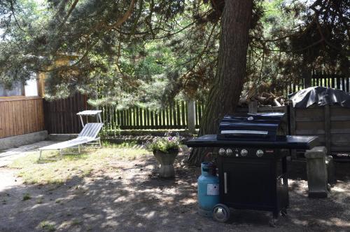 a backyard with a grill and a chair under a tree at Chata u Hřiště in Loučeň