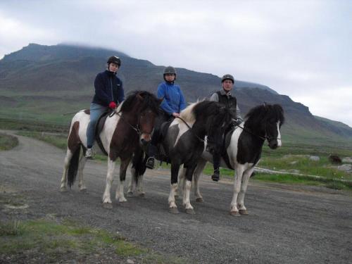 three people riding on horses on a dirt road at Hömluholt Holiday Homes in Hömluholt