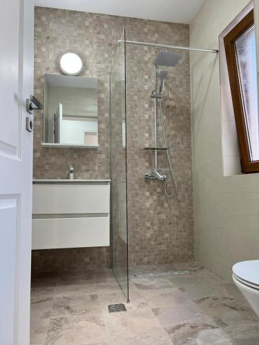 a bathroom with a shower with a sink and a toilet at AL MARE in Constanţa