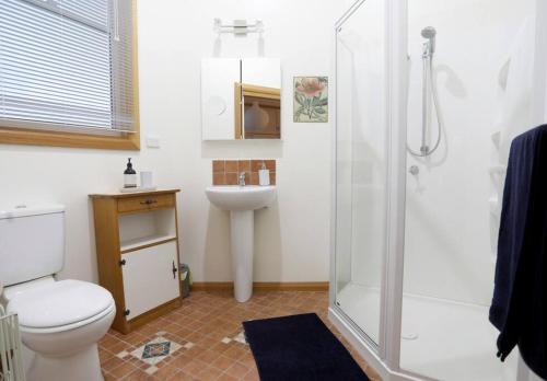 a bathroom with a shower and a toilet and a sink at Stanley Beach House with Stunning Nut Views! in Stanley