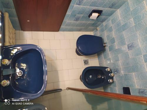 Casa Campo B&B في سان كارلوس دي باريلوتشي: حمام به مبولة زرقاء ومرحاض