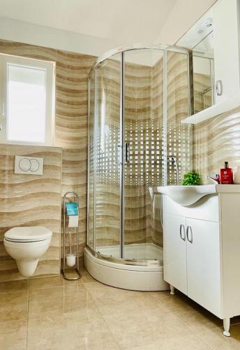 a bathroom with a shower and a toilet and a sink at Apartman Tina in Murvica