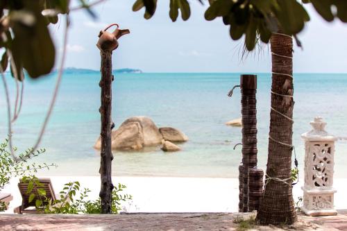 a bird sitting on a tree on the beach at Crystal Bay Yacht Club Beach Resort in Lamai