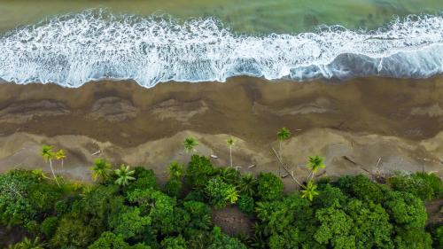 an overhead view of a beach with a wave at Playa Ganadito Ecolodge in Drake