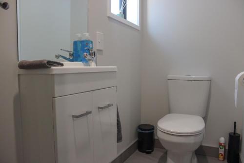 a bathroom with a white toilet and a sink at City Centre Escape in Napier
