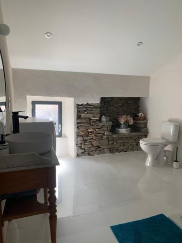 La salle de bains est pourvue de toilettes et d'une cheminée en pierre. dans l'établissement Très jolie maison aux portes du Cap Corse, à Sisco