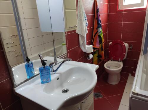 a bathroom with a sink and a toilet at Guesthouse Djacic in Budva