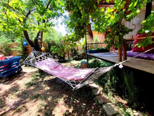 Bazén v ubytování !!Tiny House İncir!! Kayaköy Jungle Camping nebo v jeho okolí
