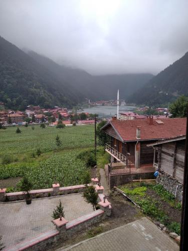 a house with a view of a field and a river at Uzungöl Sakin Pansiyon in Uzungöl