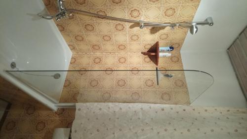 a shower in a bathroom with a glass shelf at Casa la Collina delle Ginestre in Eberbach