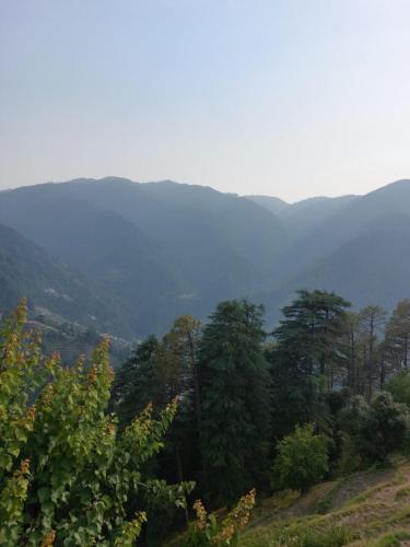 a group of trees on a hill with mountains in the background at NotOnMap- Amaira Homestay in Khajjiar 