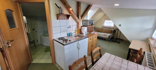 a small kitchen with a sink and a counter top at Willa Anna in Karpacz