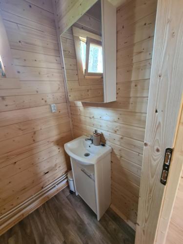 a bathroom in a tiny house with a sink at Jesionowe Domki in Zełwągi