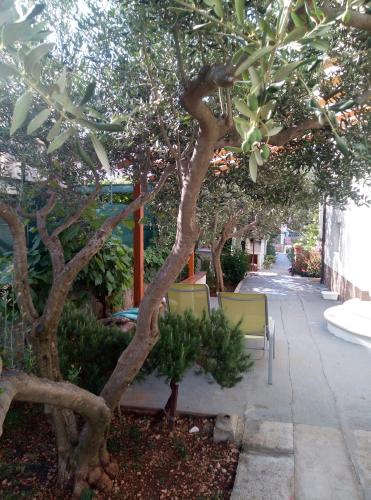 a tree with two chairs next to a sidewalk at Lux Trogir in Trogir