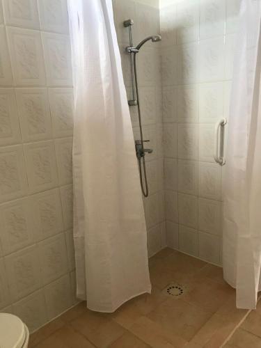 une douche avec un rideau de douche dans une salle de bain dans l'établissement O’gîtes des colombes, à Colombiers