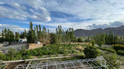 a view of a field with trees and mountains at THE WILLOW HOUSE in Leh