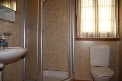 a bathroom with a shower and a toilet and a sink at Chalet Zwächta in Zermatt