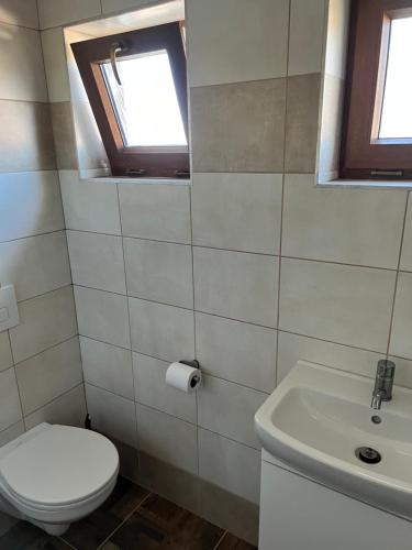 a bathroom with a toilet and a sink at EDER- Penzion & Apartmány in Horní Planá