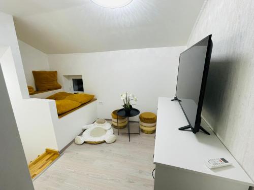 TV a/nebo společenská místnost v ubytování Vanadium house