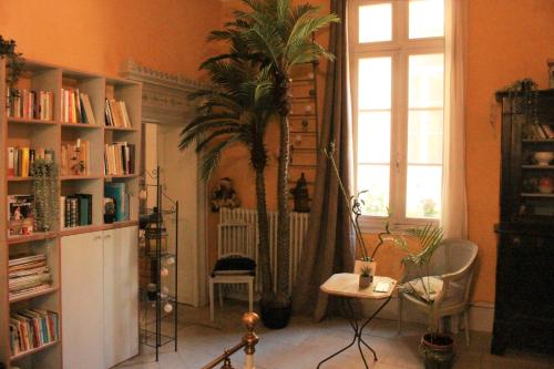un salon avec un palmier dans le coin dans l'établissement Superbe appartement spacieux - Centre historique, à Montpellier