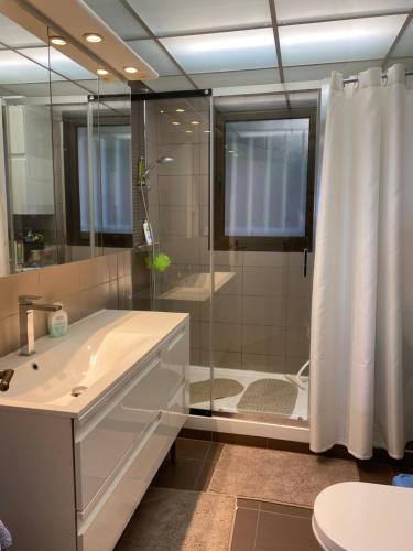 y baño con ducha, lavabo y aseo. en appartement Nice , jardin et mer, en Niza