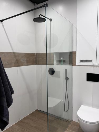 a glass shower in a bathroom with a toilet at Przytulna kawalerka w kamienicy in Ełk
