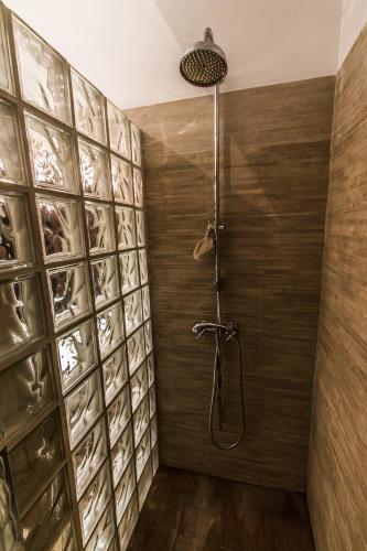 a bathroom with a shower with a glass wall at Finca Villa Juan in Ribera del Fresno