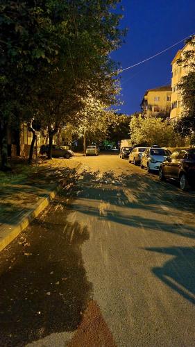 a street with cars parked on the side of the road at MAXX Lake Apart in Bacău