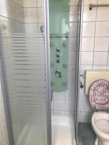 a shower in a bathroom with a toilet at Asia wok gasthof in Ybbs an der Donau