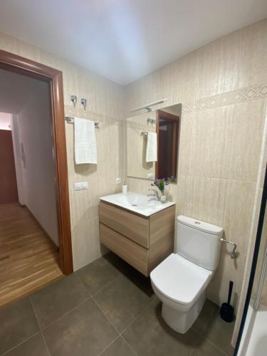 a bathroom with a white toilet and a sink at Apartament Acollidor a Ribes de Freser in Ribes de Freser