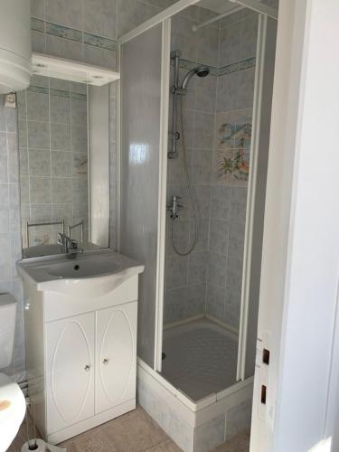 y baño con ducha y lavamanos. en Petit appartement cosy en Villers-sur-Mer